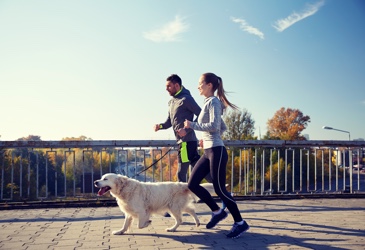 A couple exercising with their dog