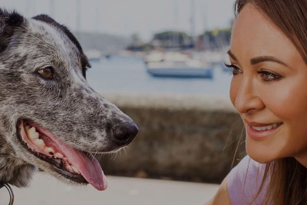 Medibank lovemyrescue