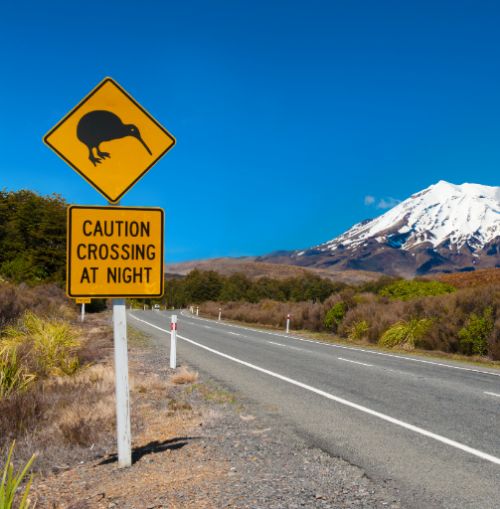 careful when driving in new zealand