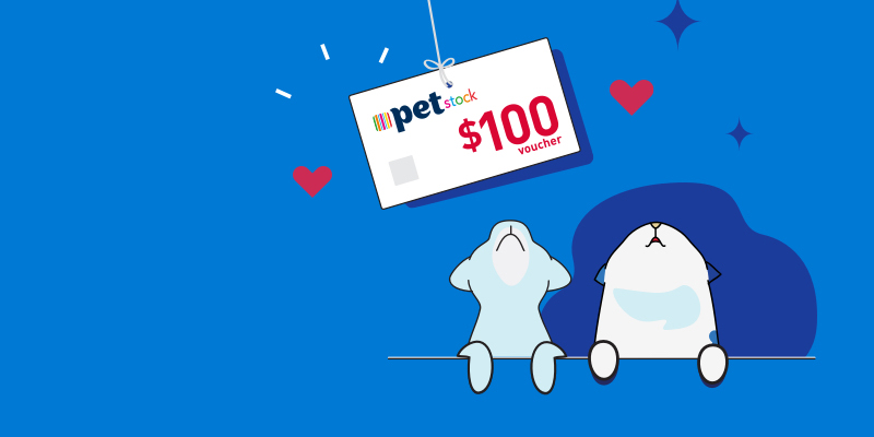 Medibank Pet Insurance Exclusive Offer Medibank