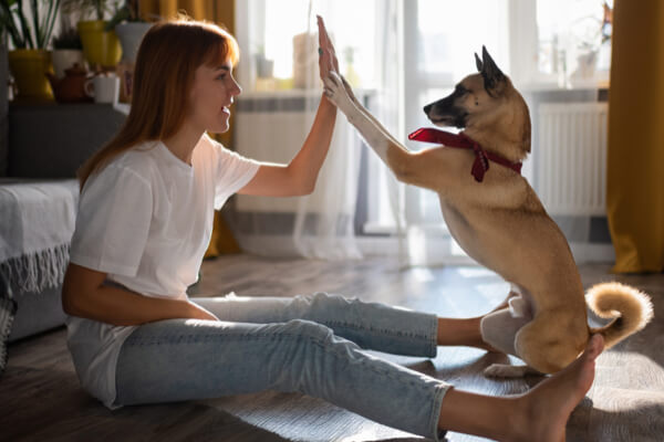 Medibank Pet Insurance