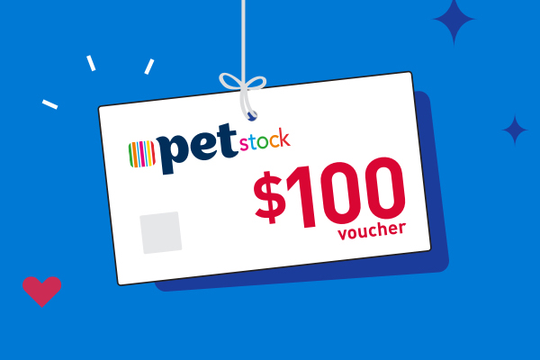 Medibank Pet Insurance