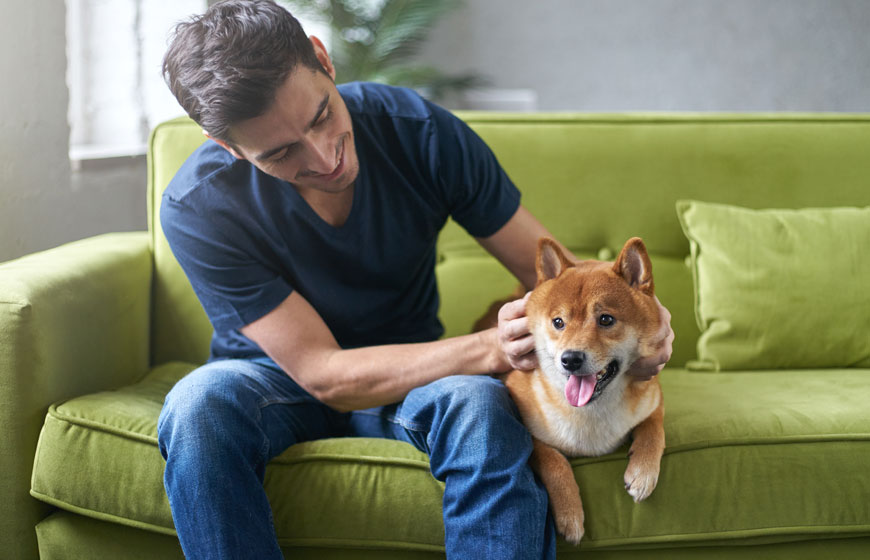 Male sitting on a green couch with his dog