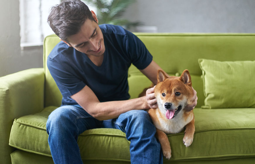 Male looking after his dog