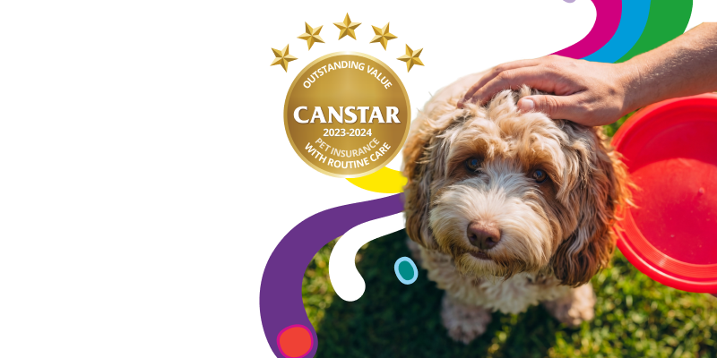 Medibank Pet Insurance