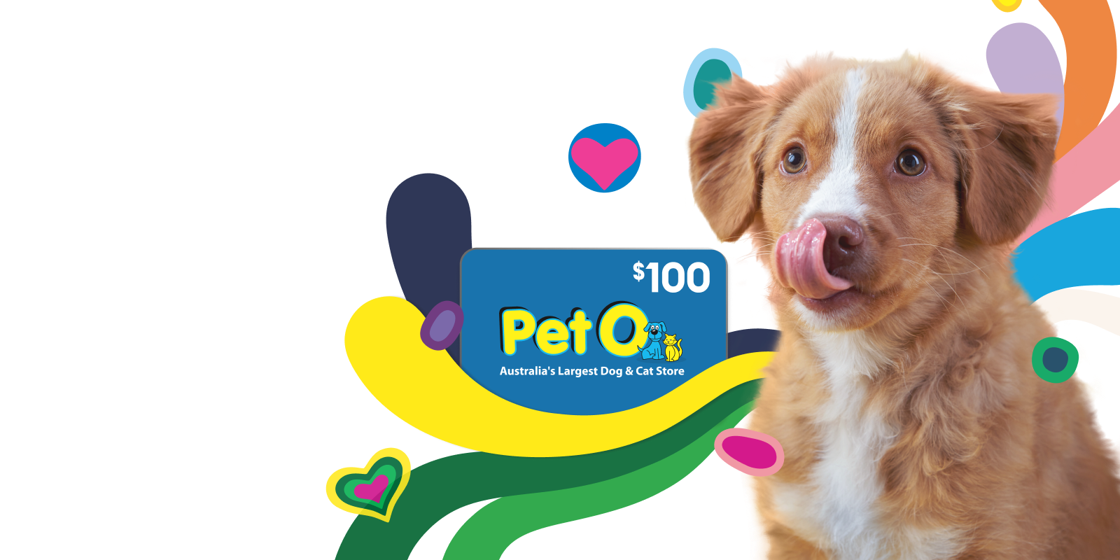 Medibank Pet Insurance