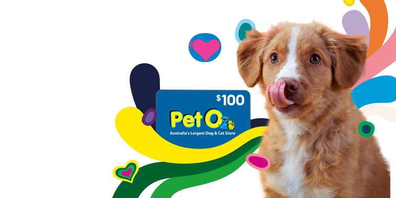 Medibank Pet Insurance