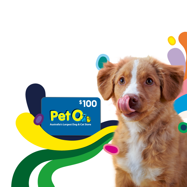 Members save 10% on pet insurance.