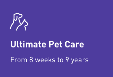 Ultimate Pet Care