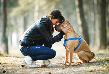 Pet insurance