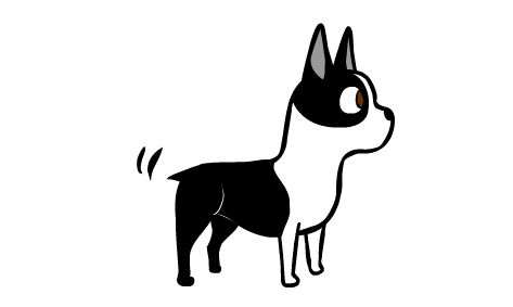 tail wag
