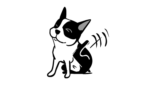 scratch