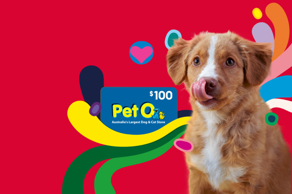 Members save 10% on pet insurance.